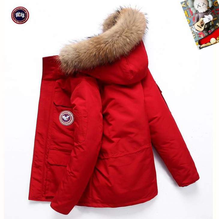 Picture of Canada Goose Down Jackets _SKUCanadaGooseM-3XL25tx0737922